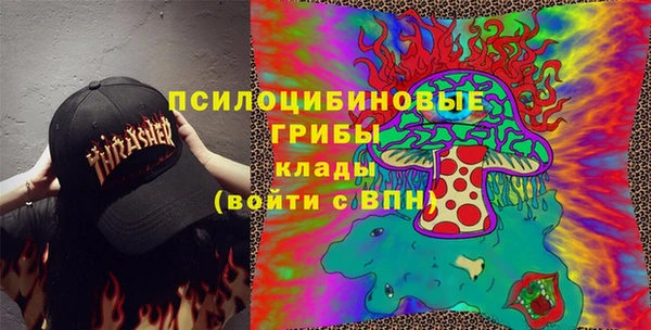 гидропоника Белокуриха