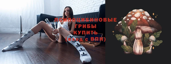 гидропоника Белокуриха