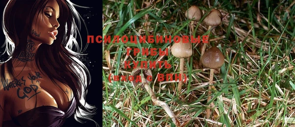 гидропоника Белокуриха