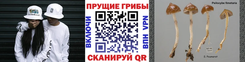 даркнет сайт  Черепаново  Галлюциногенные грибы мухоморы 
