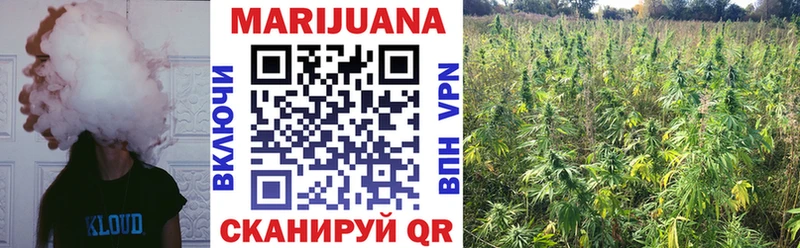 где можно купить   Черепаново  Бошки Шишки VHQ 
